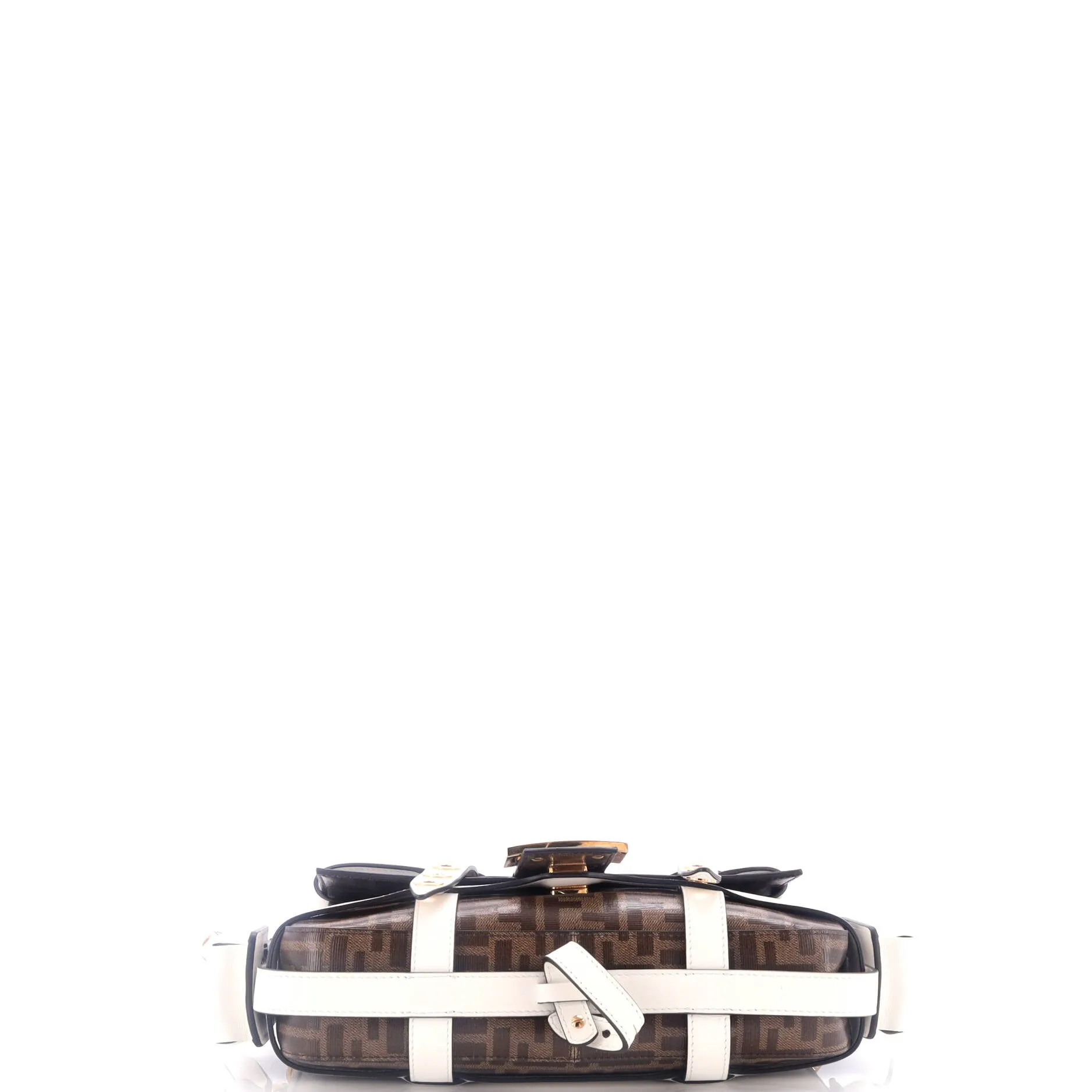 Baguette Cage Bag Zucca Coated Canvas and Leather Medium
