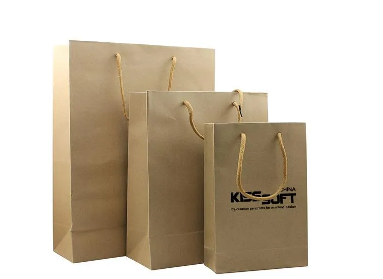 Eco-Friendly Paper Bag (Medium)