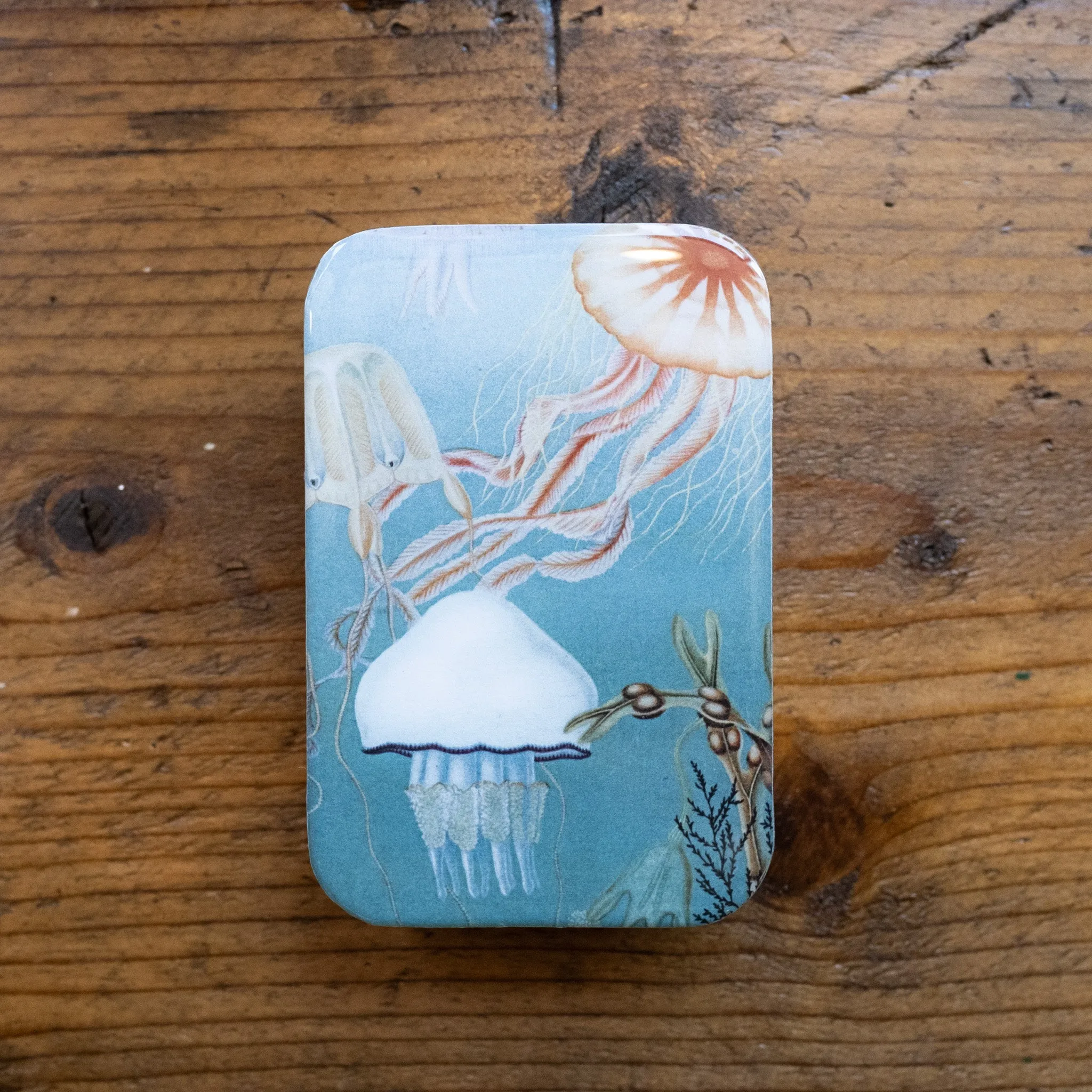 Firefly Notes Tins