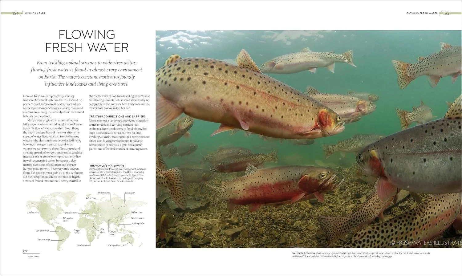 Habitats: Earth's Precious Wild Places Revealed