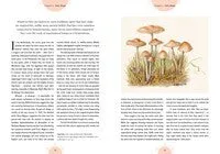 Kew - The Magic of Mushrooms