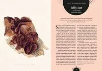 Kew - The Magic of Mushrooms