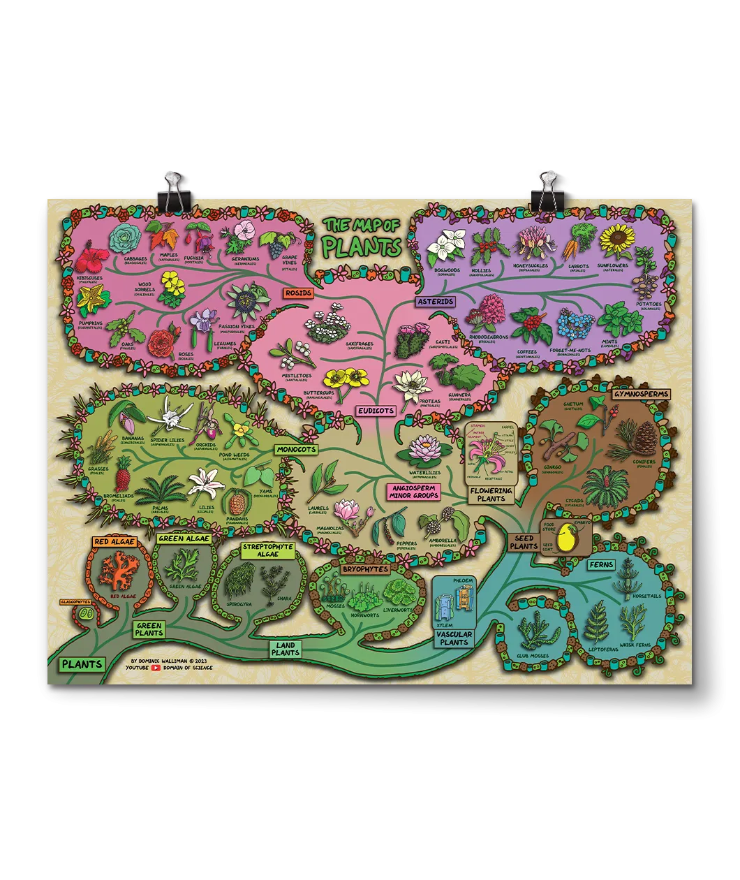 Map of Plants Poster