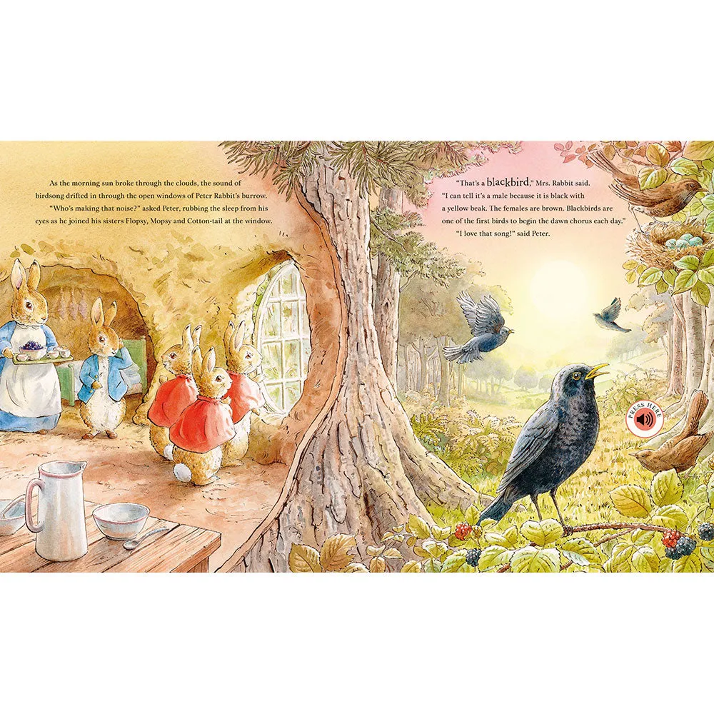 Peter Rabbit: Peter’s Nature Walk (Sound Book)