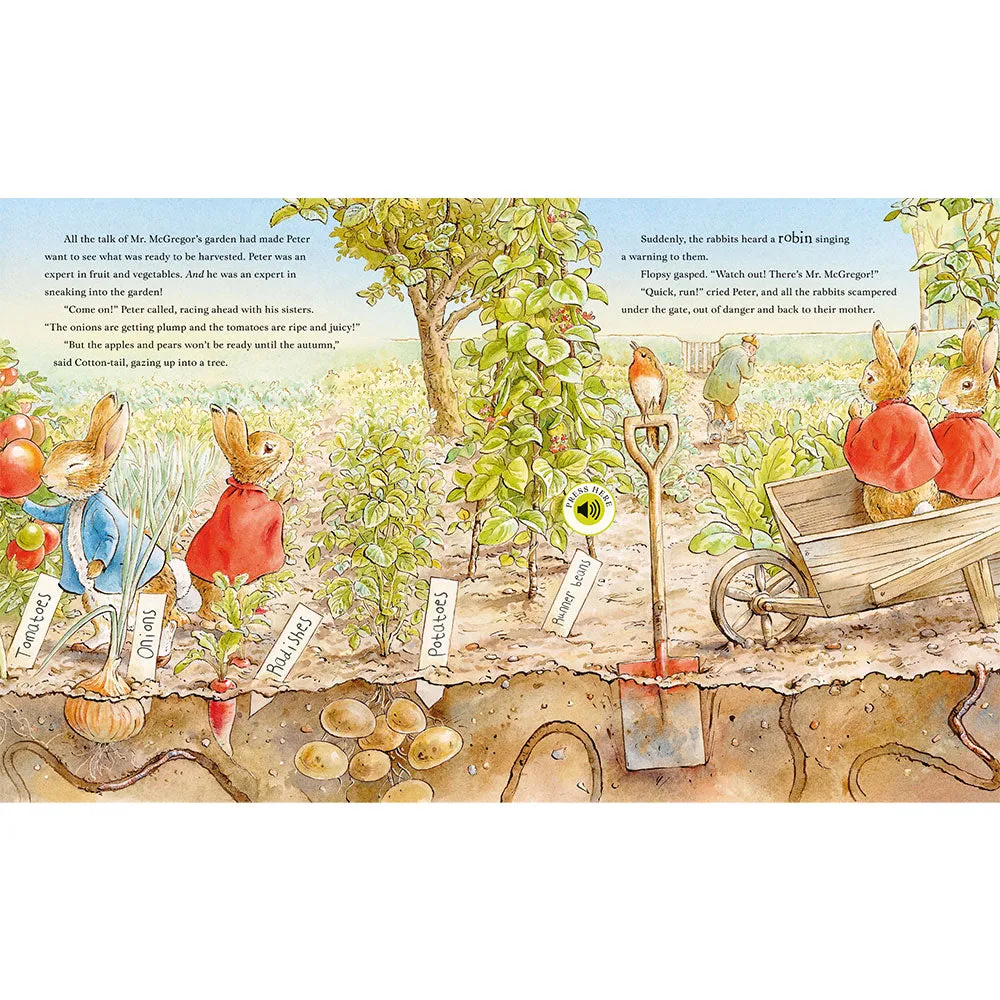 Peter Rabbit: Peter’s Nature Walk (Sound Book)
