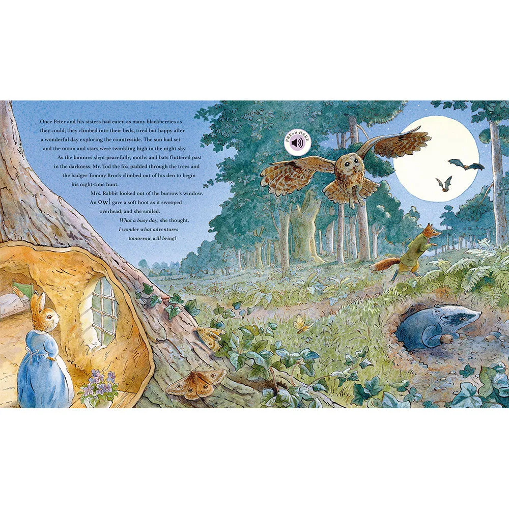 Peter Rabbit: Peter’s Nature Walk (Sound Book)