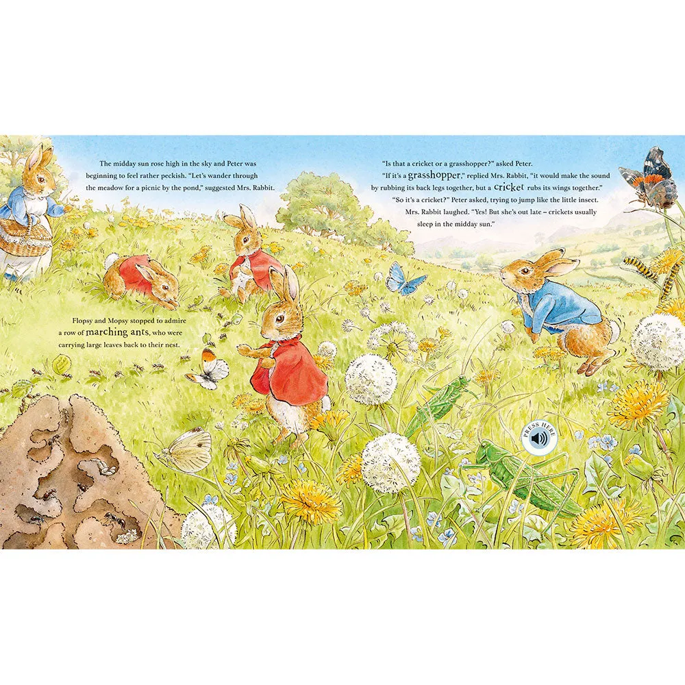 Peter Rabbit: Peter’s Nature Walk (Sound Book)