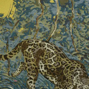 ROAM II