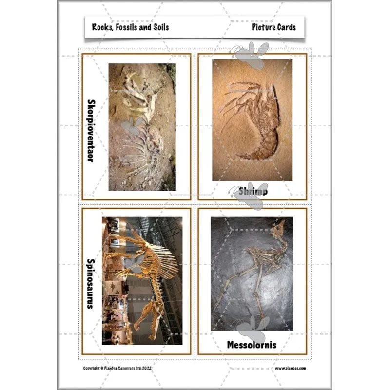 Rocks, Fossils and Soils