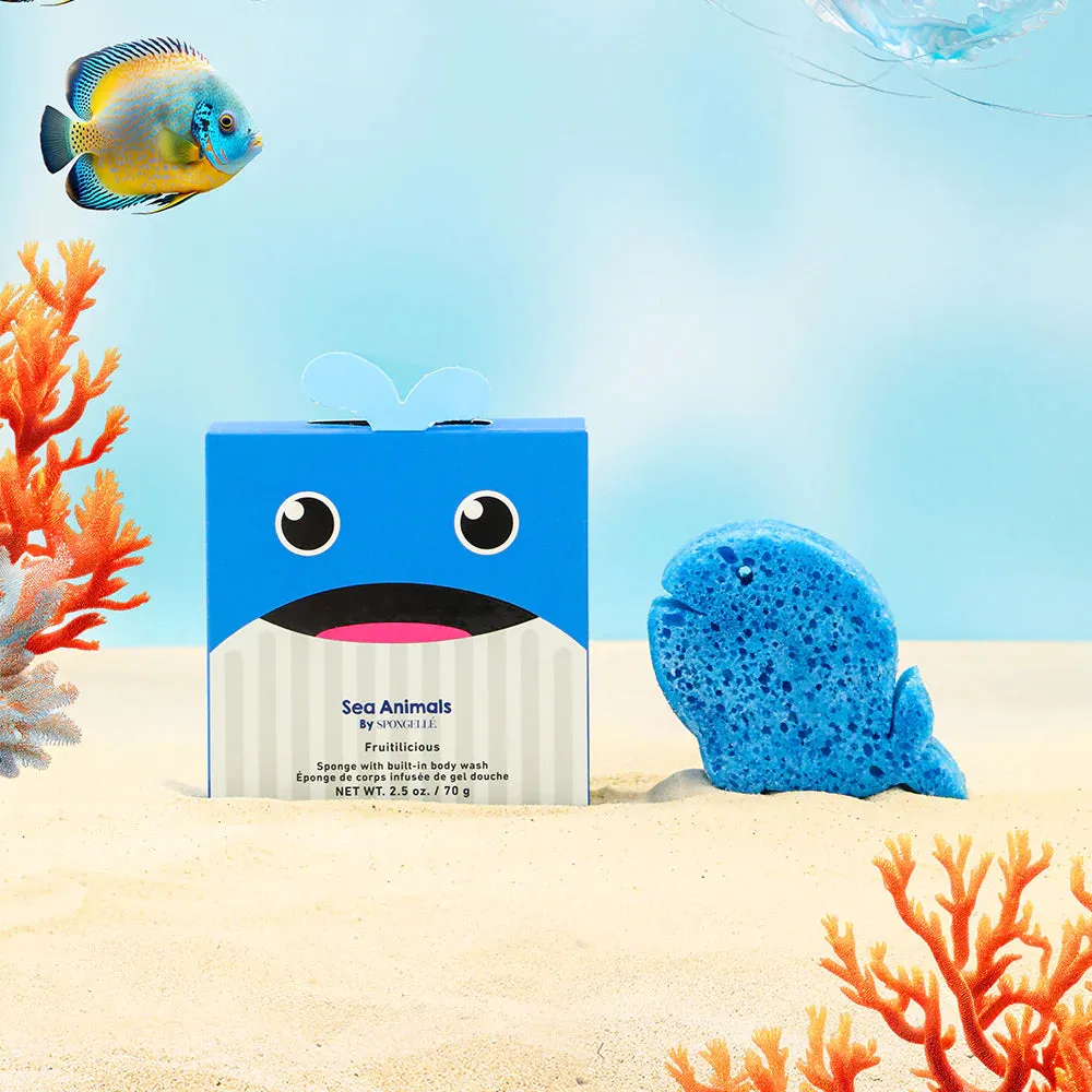 Sponge Sea Animals