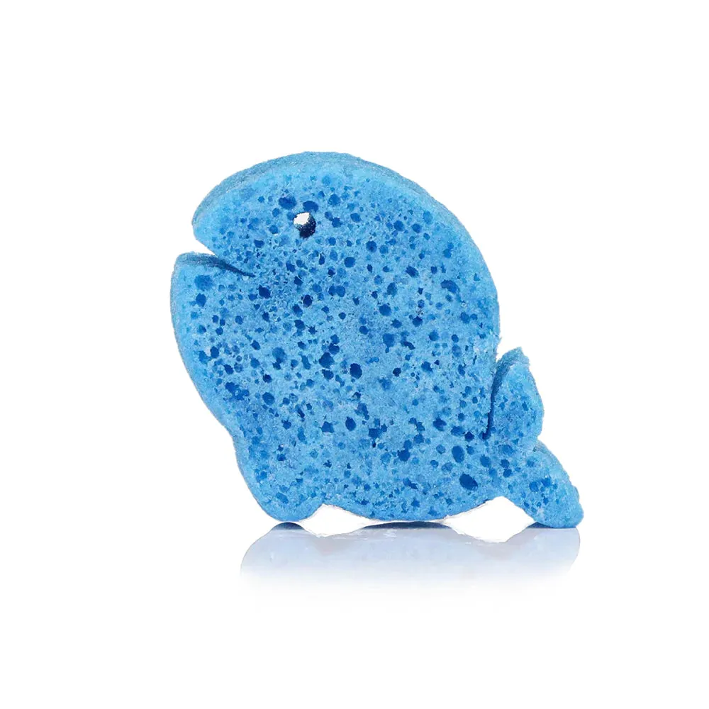 Sponge Sea Animals