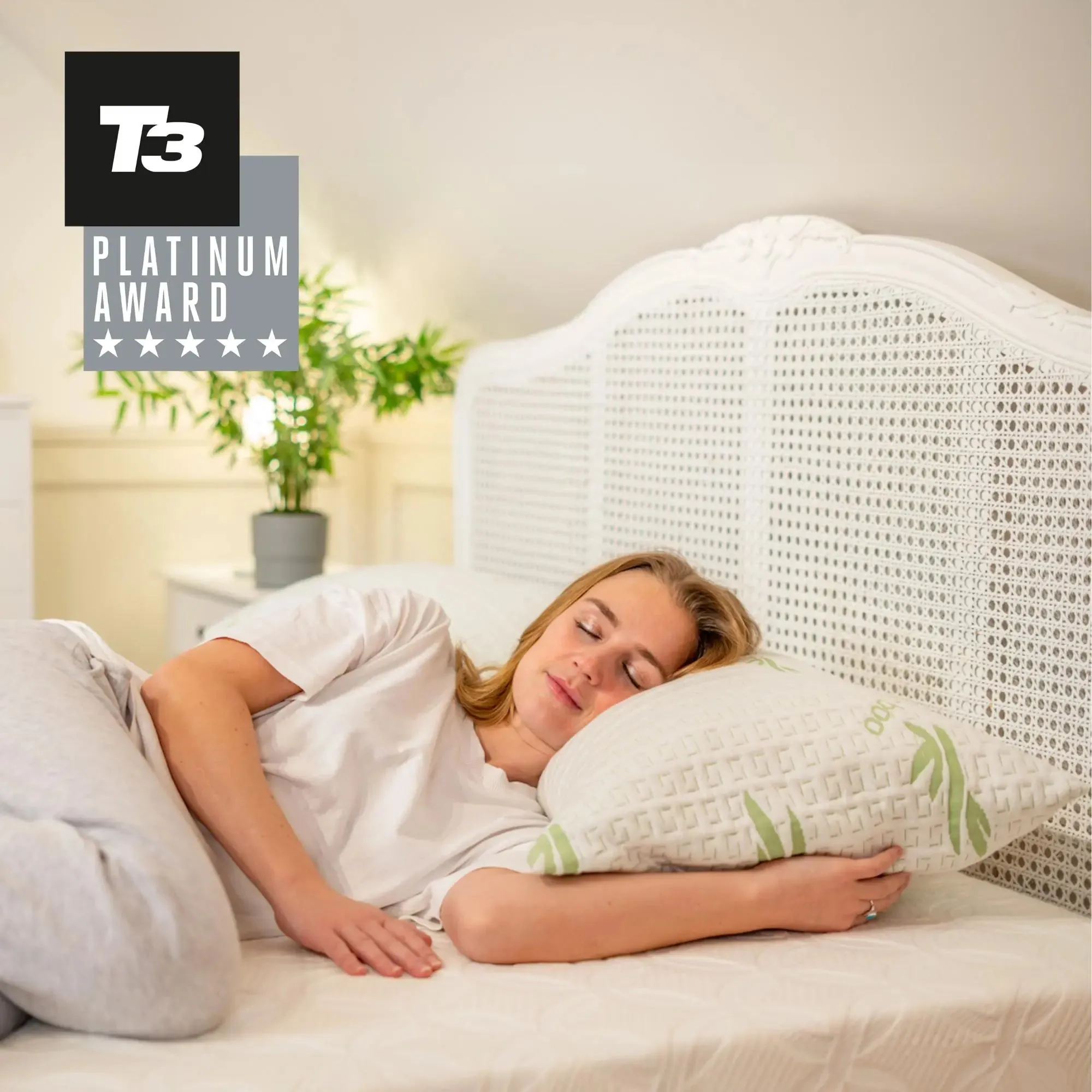 The Bamboo Forest Pillow